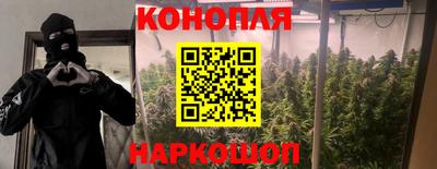 прущие крисы Пушкино