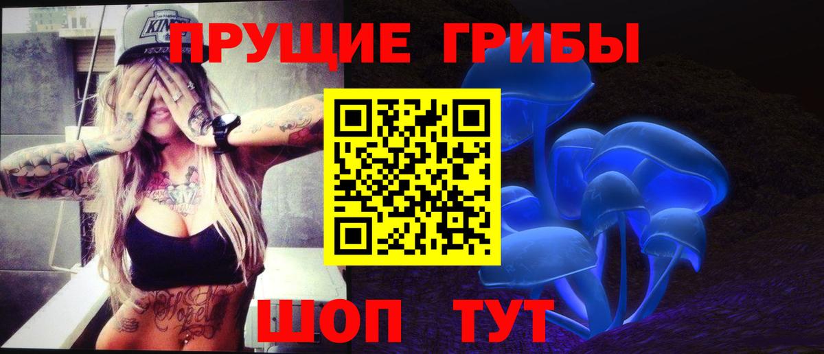 Псилоцибиновые грибы мицелий Свободный